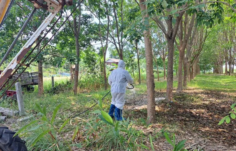 Thái Lan ghi nhận hai ca tử vong do bệnh than chỉ trong 3 ngày Còn 8 ký tự