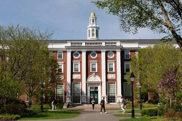 Thực hư chuyện Mỹ muốn bỏ chương trình thực tập OPT cho sinh viên quốc tế sau tốt nghiệp