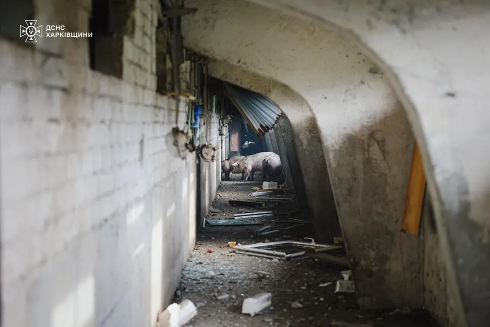 Chiến sự Nga - Ukraine 4-10