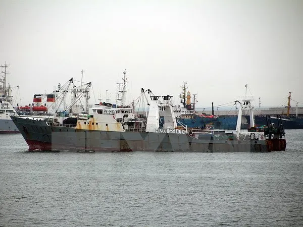 Hai thủy thủ Việt Nam mất tích trong vụ cháy tàu cá Hàn Quốc ảnh 1