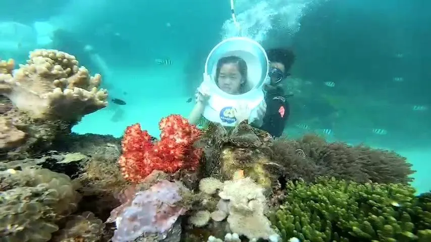 Tuỳ theo độ tuổi, các em nhỏ cũng được tham gia tour đi bộ dưới đáy biển. Ảnh: LAN THY