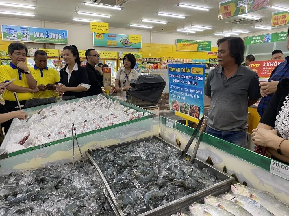 Mới đây, 'vua tôm’ Minh Phú đã ký kết hợp tác cùng Bách Hoá Xanh để bán tôm trong hệ thống siêu thị này. Ảnh: THU HÀ