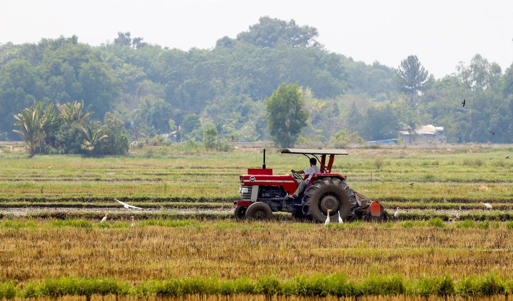 Khu vực phía Bắc của huyện được định hướng giữ gìn nông nghiệp và phát triển nông nghiệp công nghệ cao. Ảnh: NGUYỆT NHI P8+9-Bai1_viethoa_T3_huyenlenquan_H3.jpg
