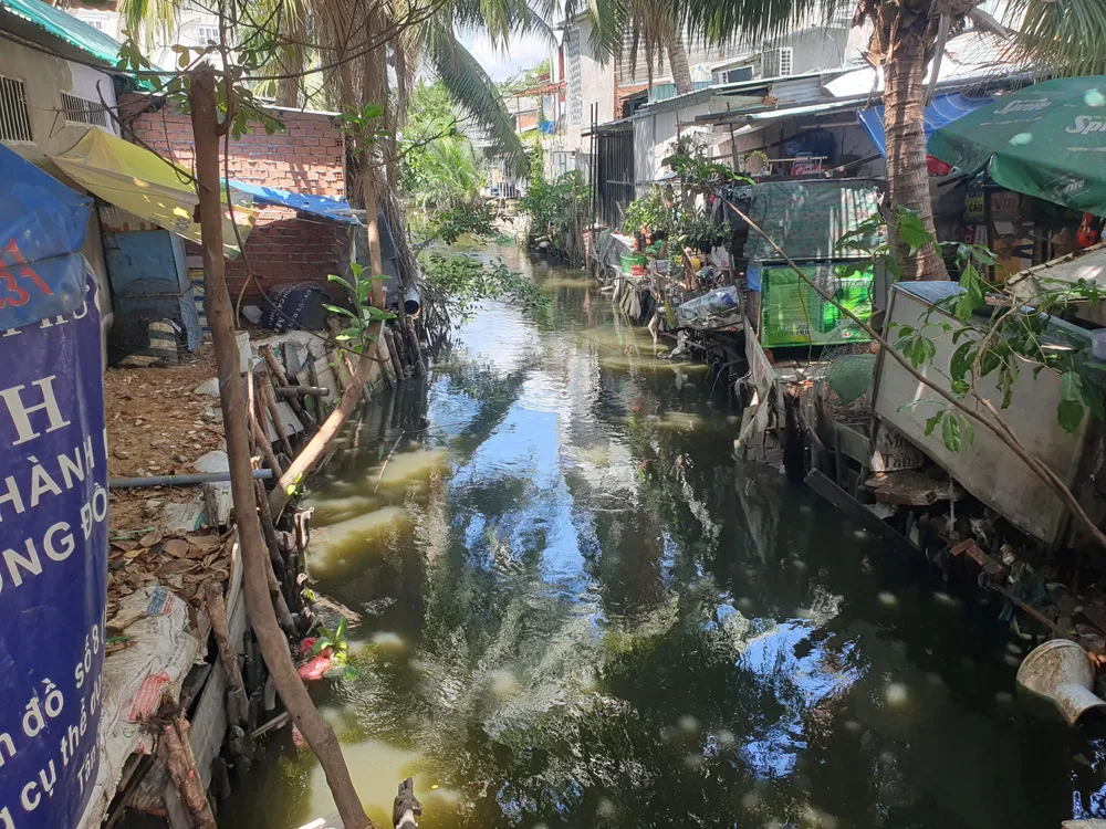 Một con rạch nhỏ gần khu vực ao Song Tân. Ảnh: KIÊN CƯỜNG IMG_2058.jpeg
