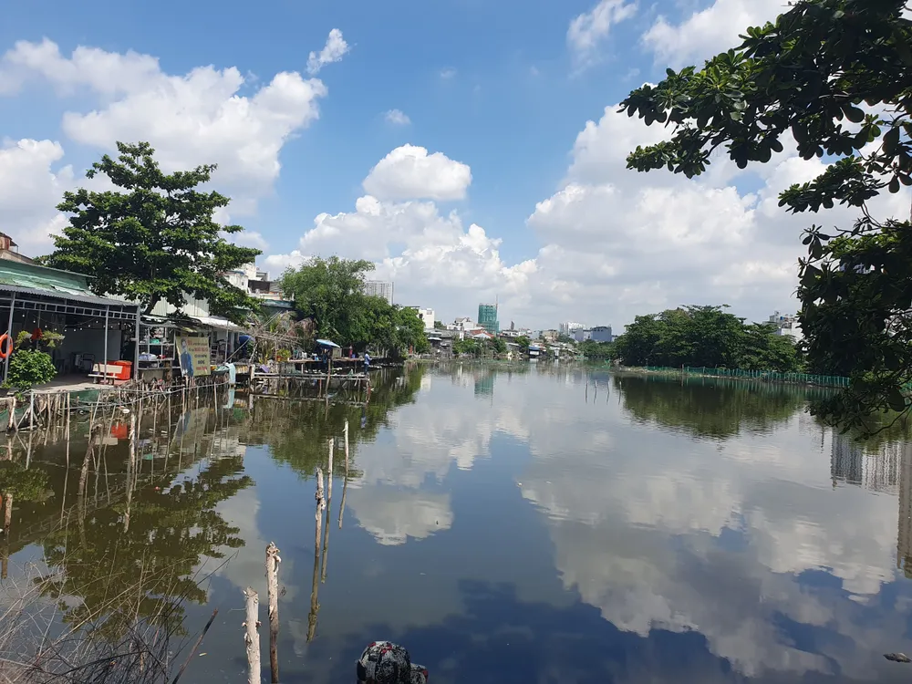 Ao Song Tân. Ảnh: KIÊN CƯỜNG IMG_2060.jpeg
