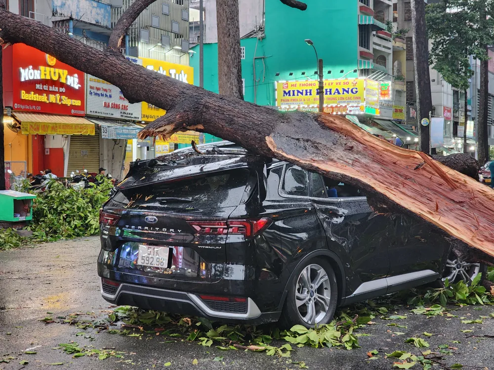 Mưa lớn làm đổ cây ở quận 10, TP.HCM. Ảnh: NGUYỄN TÂN Mưa dông ở TP.HCM.JPG