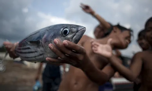 Ngư dân vui mừng với thành quả sau một chuyến ra khơi. Ảnh:New York Times. 20140519-PHILLIPINES-slide-8EH-4921-4939