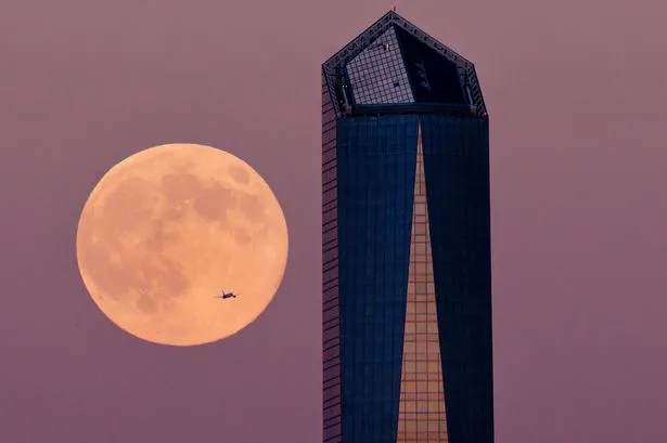 Mặt trăng lớn nhất trong vòng hơn 20 năm qua ảnh 2