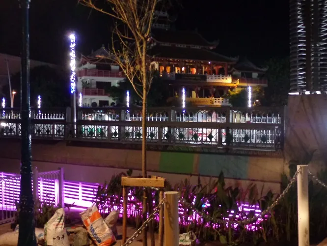 Lung linh sắc màu cầu Lê Văn Sỹ ảnh 5