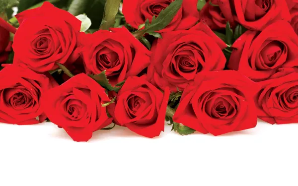 Diễm Phúc ảnh 2