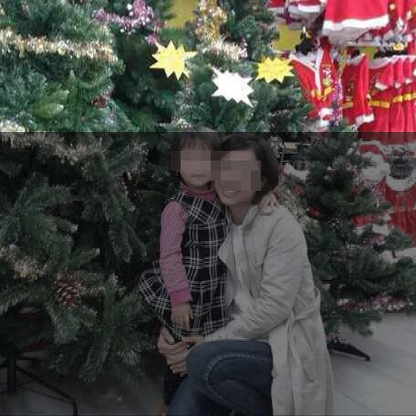 Em không thể quay lại... ảnh 2