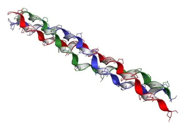 Bổ sung collagen cách nào hiệu quả nhất? ảnh 6 Bổ sung collagen cách nào hiệu quả nhất? ảnh 6