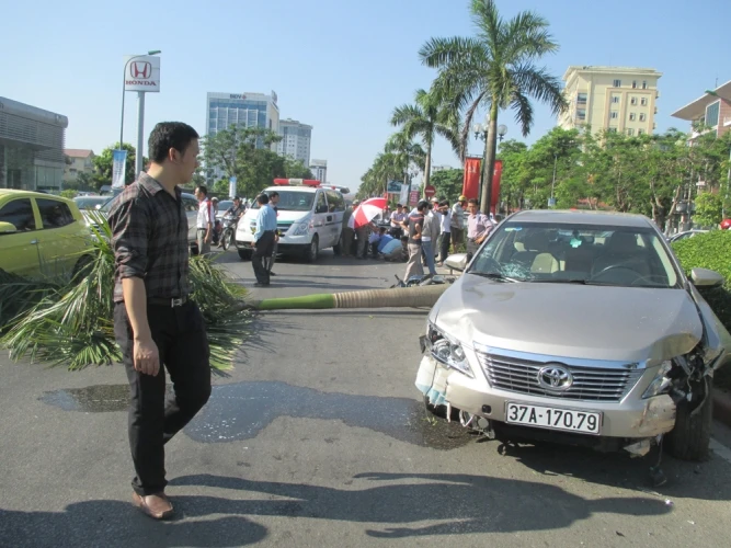Xe ô tô tông xe máy, càn gãy cả cây cau vua lớn bên đường ảnh 1