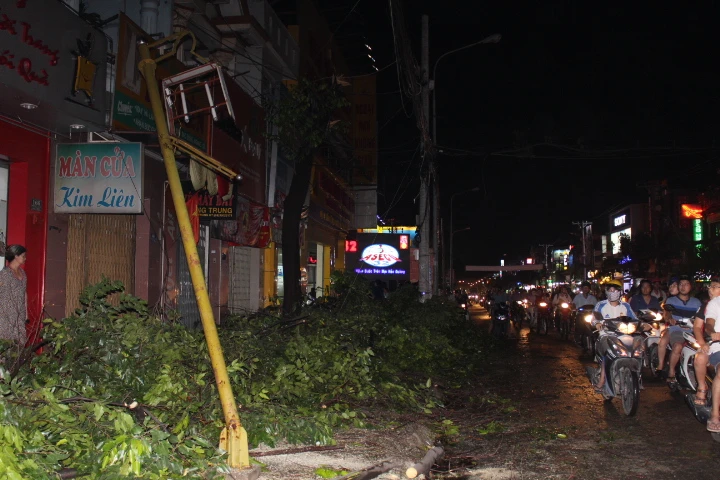 Cây cổ thụ bị gió thổi bật gốc, người đi đường tháo chạy ảnh 8