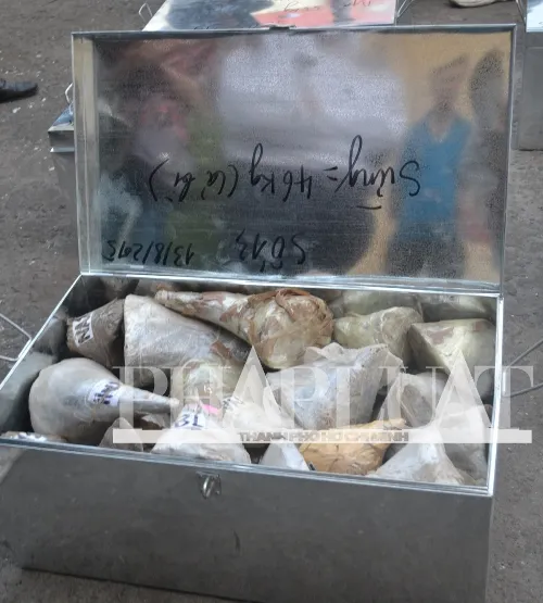 Hơn 735 kg ngà voi và sừng tê giác ‘sa lưới’ ở cảng miền Trung ảnh 7 Hơn 735 kg ngà voi và sừng tê giác ‘sa lưới’ ở cảng miền Trung ảnh 7