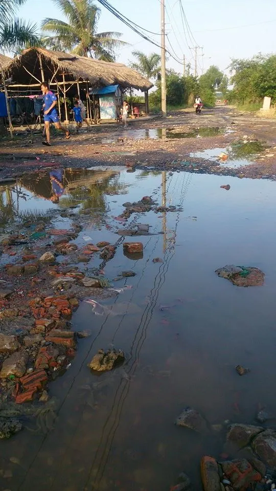 Đi đường như đi… thú nhún ảnh 1