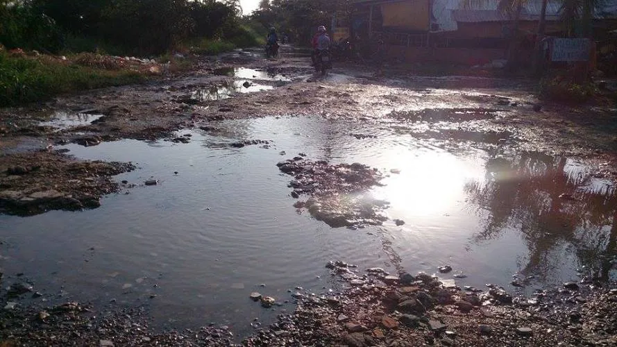 Đi đường như đi… thú nhún ảnh 4