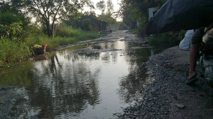 Đi đường như đi… thú nhún ảnh 3