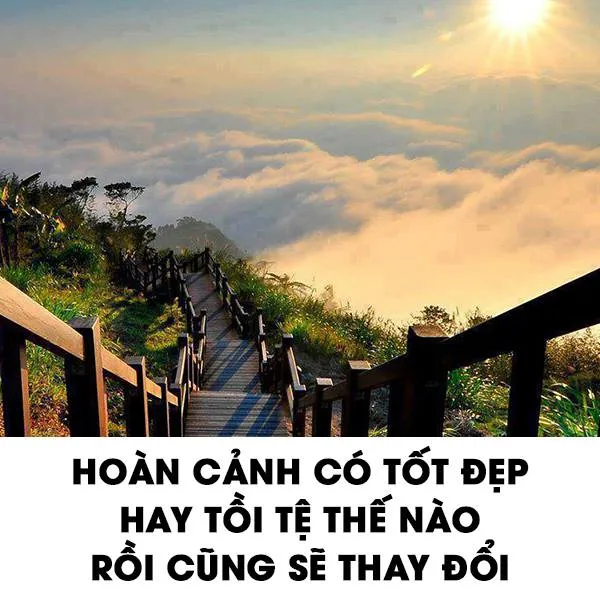 Buông bỏ, yêu mình và hạnh phúc ảnh 18