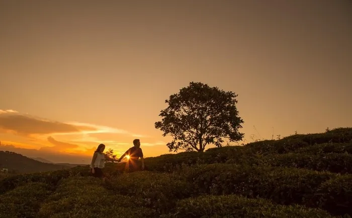 Anh đến với tôi vào mùa xuân buồn nhất ảnh 3