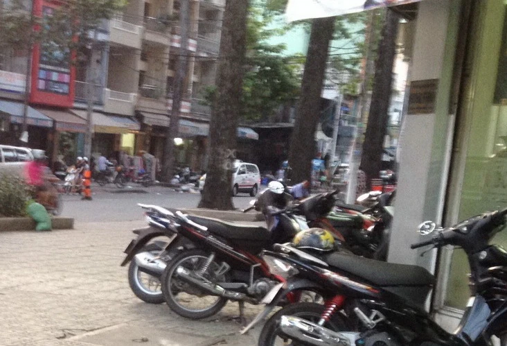 Đình chỉ vụ người bệnh tâm thần sát hại đại úy công an ảnh 1