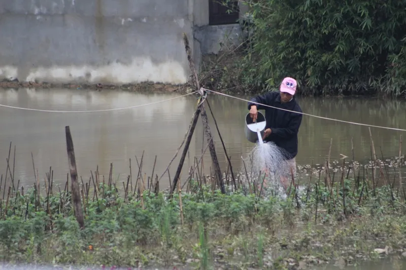 Lũ chồng lũ, lấy gì ăn tết? ảnh 5