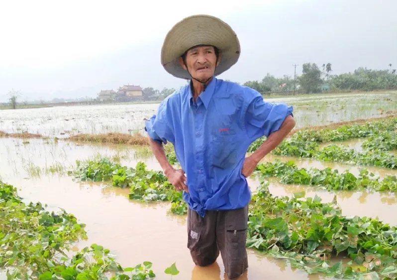 Quảng Nam thiệt hại gần 500 tỉ đồng sau lũ ảnh 1