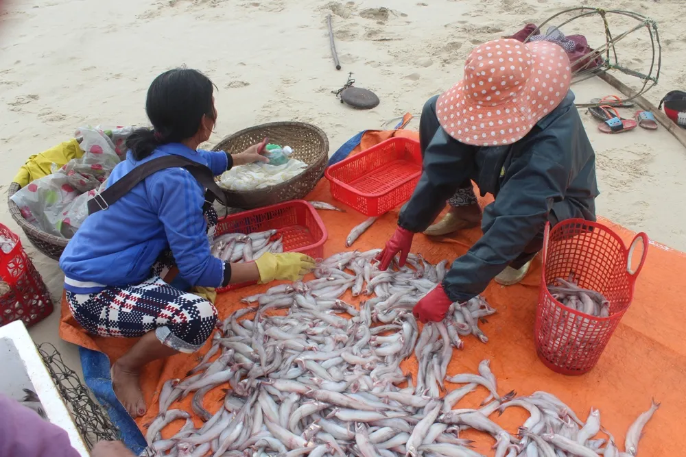 Tín hiệu vui từ những chuyến đi biển đầu năm ảnh 4 Tín hiệu vui từ những chuyến đi biển đầu năm ảnh 4