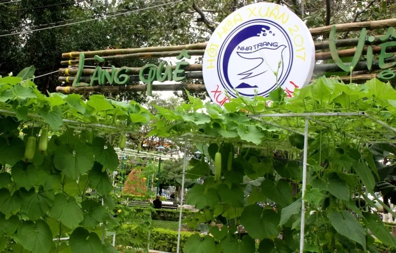 Đưa nông sản vào Hội hoa xuân ảnh 9 Đưa nông sản vào Hội hoa xuân ảnh 9