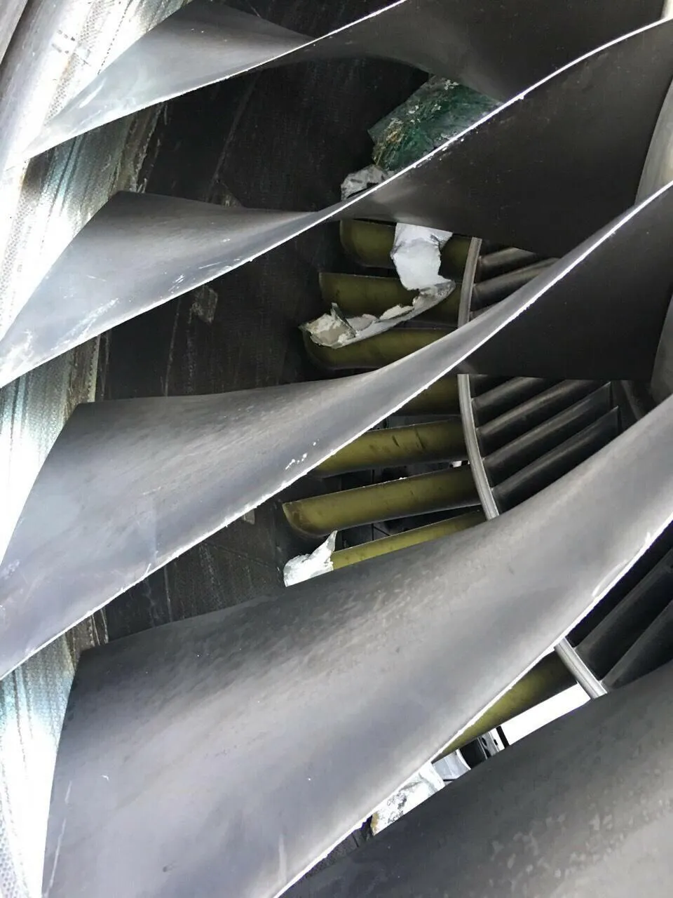 Một máy bay đáp nhầm đường băng ảnh 4