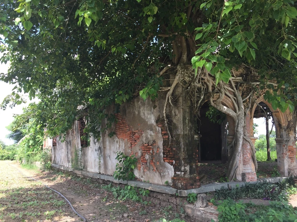 Người dân muốn giữ ngôi đình nằm trọn trong bộ rễ bồ đề ảnh 4