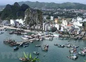 Gỡ lệnh dừng phân lô, tách thửa, chuyển mục đích đất Phú Quốc ảnh 2 Năm 2020, giá đất Phú Quốc, Vân Đồn có xu hướng tăng