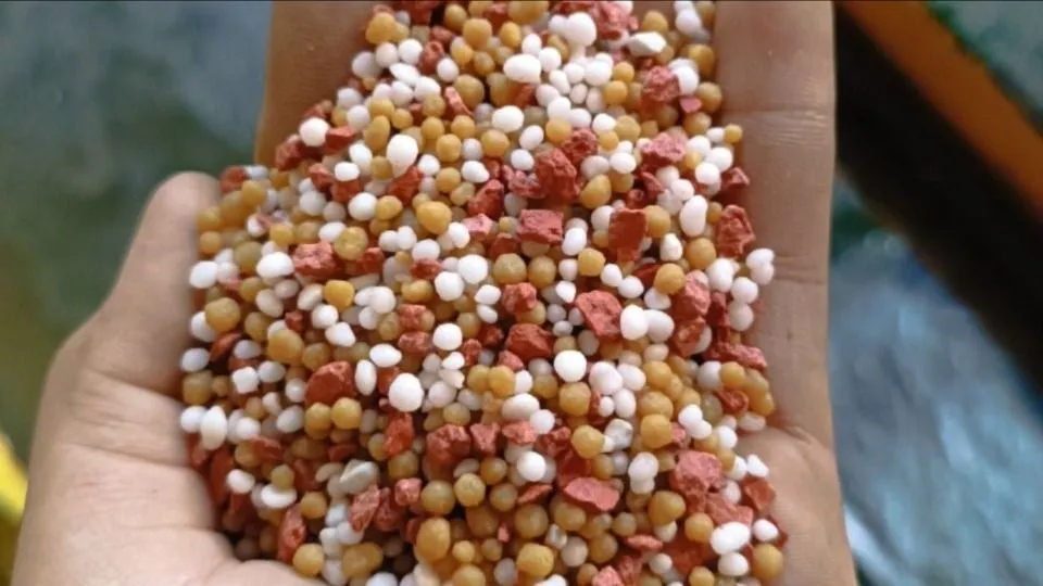 Phân bón Trung Quốc được nhập khẩu nhiều nhất, bổ sung cho một số loại phân bón Việt Nam sản xuất ít hoặc chưa sản xuất được. Ảnh minh họa: HẠ QUYÊN Phân bón Trung Quốc được nhập khẩu nhiều nhất