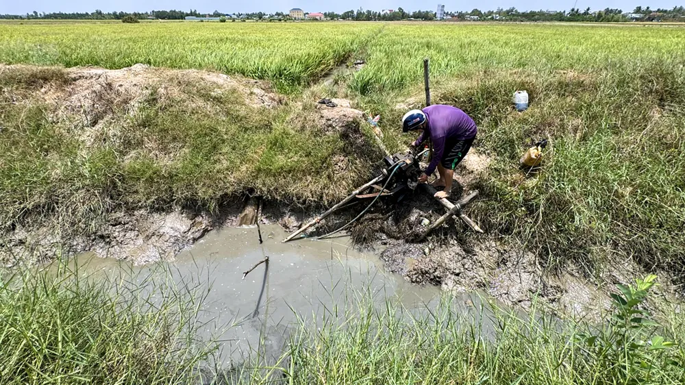 Người dân khó khăn trong việc ngăn hạn mặn xâm nhập đồng ruộng. Ảnh: CHÂU ANH dong-bang-song-cuu-long.jpg