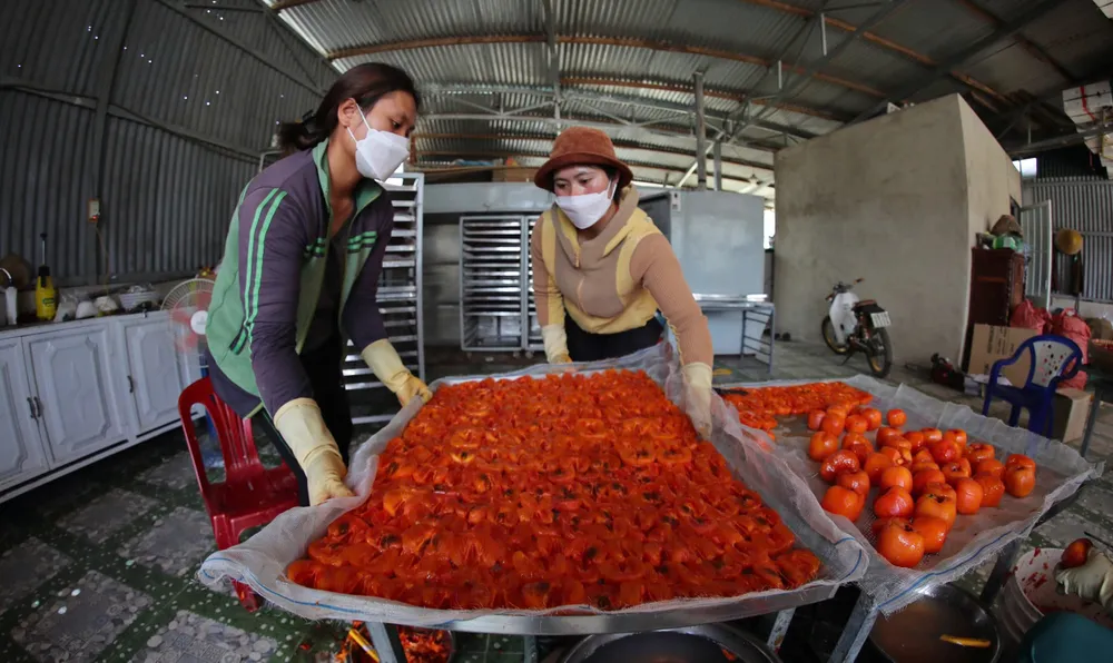 Các ngành chức năng tập trung vào công tác quản lý, kiểm soát sản phẩm mang nhãn hiệu, quy trình sản xuất - thu hoạch - bảo quản sản phẩm. Ảnh: TIẾN THÀNH ac623e32f2ea54b40dfb.jpg