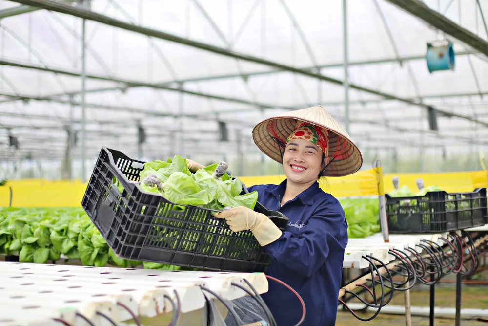 Năm 2024, kết quả xuất khẩu rau củ Việt Nam rất khả quan nong-san-da-lat-2.jpg