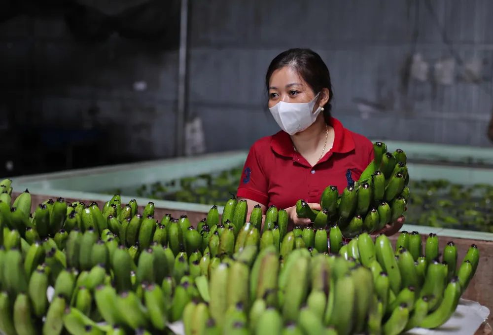 Để bảo vệ thương hiệu nông sản Đà Lạt không chỉ dùng chế tài pháp luật là đủ. Ảnh: TIẾN THÀNH nong-san-da-lat-8.jpg