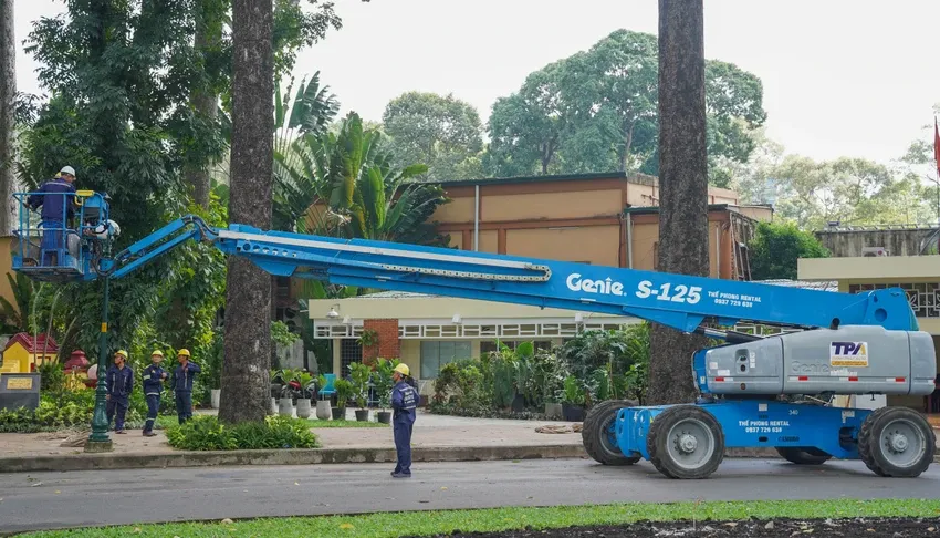 cây xanh đô thị