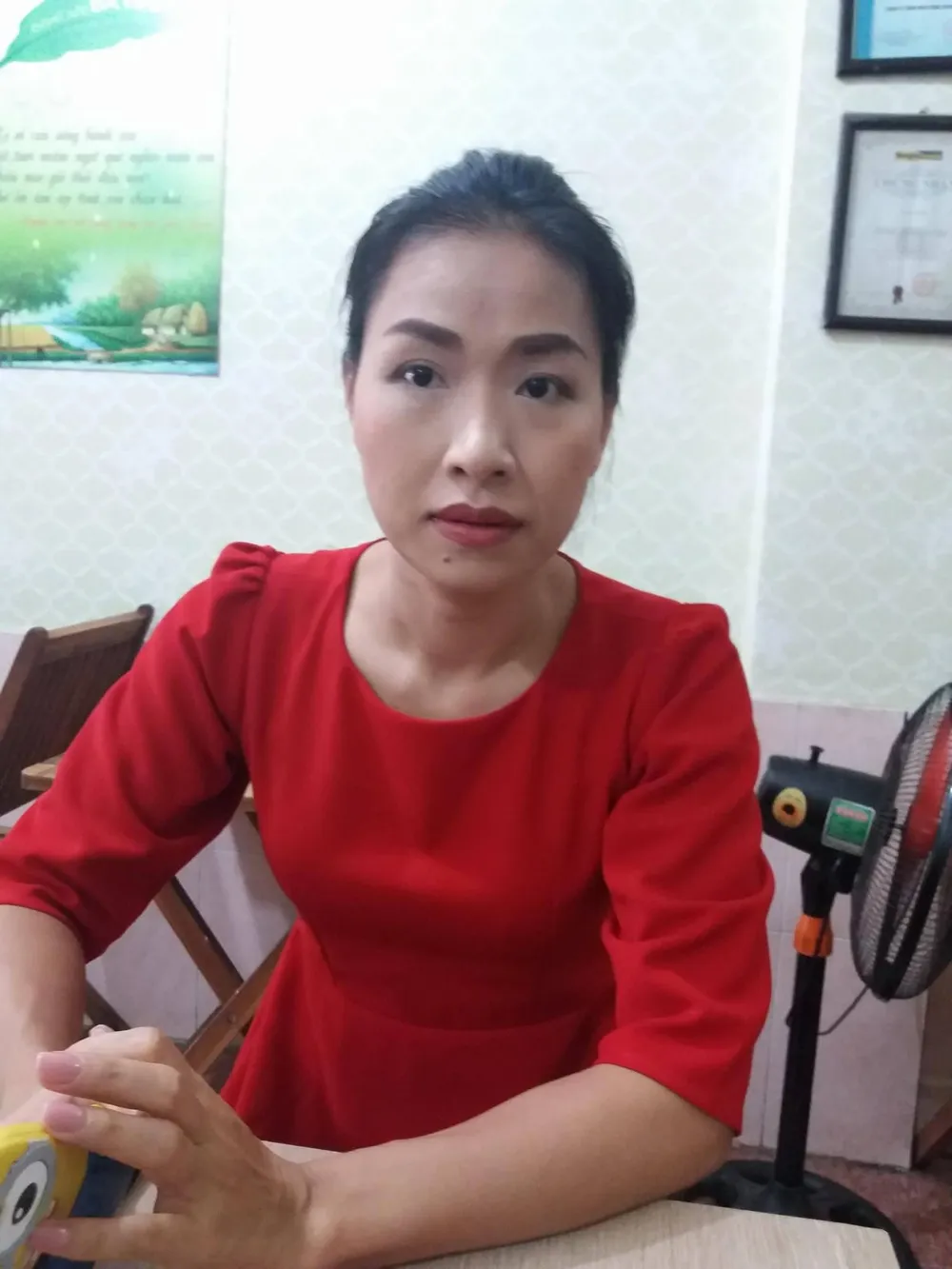 Một nữ tiếp viên hàng không xin được nuôi con