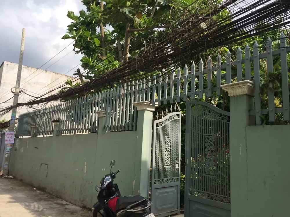 Bị can vụ trộm khó xử ở TP.HCM được tại ngoại