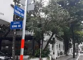 Bị cáo xin hoãn xử vì sức khỏe yếu, tòa chấp nhận ảnh 3 HĐND TP.HCM đề nghị gửi kết quả giải quyết 19 vụ án kéo dài