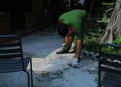 Xét xử nhóm người nổ súng truy sát ở tiệm cầm đồ về 4 tội ảnh 4 Lời kể nhân chứng vụ bắn nhiều phát súng tại Bình Dương
