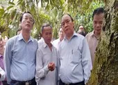 Tiền Giang đắp đập tạm ngăn mặn trên kênh Nguyễn Tấn Thành ảnh 2 ĐBSCL nguy cơ tiếp tục xảy ra hạn hán, xâm nhập mặn