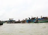 Bến Tre: Sẽ xử lý người đứng đầu nếu để 'cát tặc' lộng hành