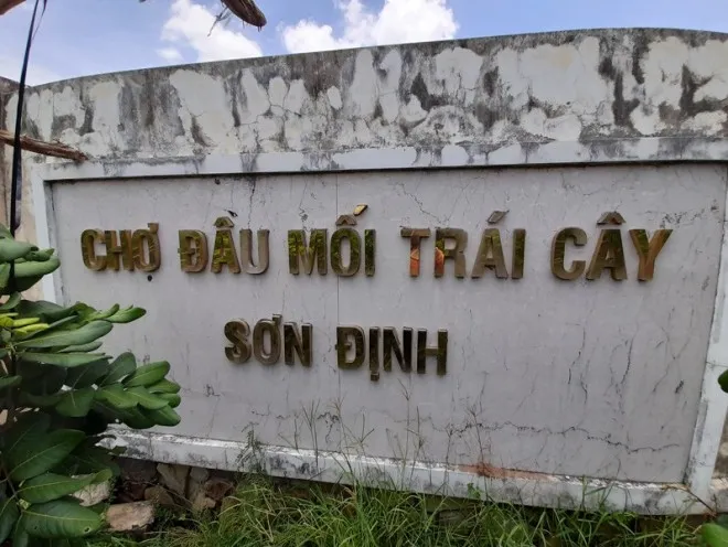 Chợ đầu mối trái cây Sơn Định Cho-dau-moi-trai-cay-Son-Dinh (5).jpg