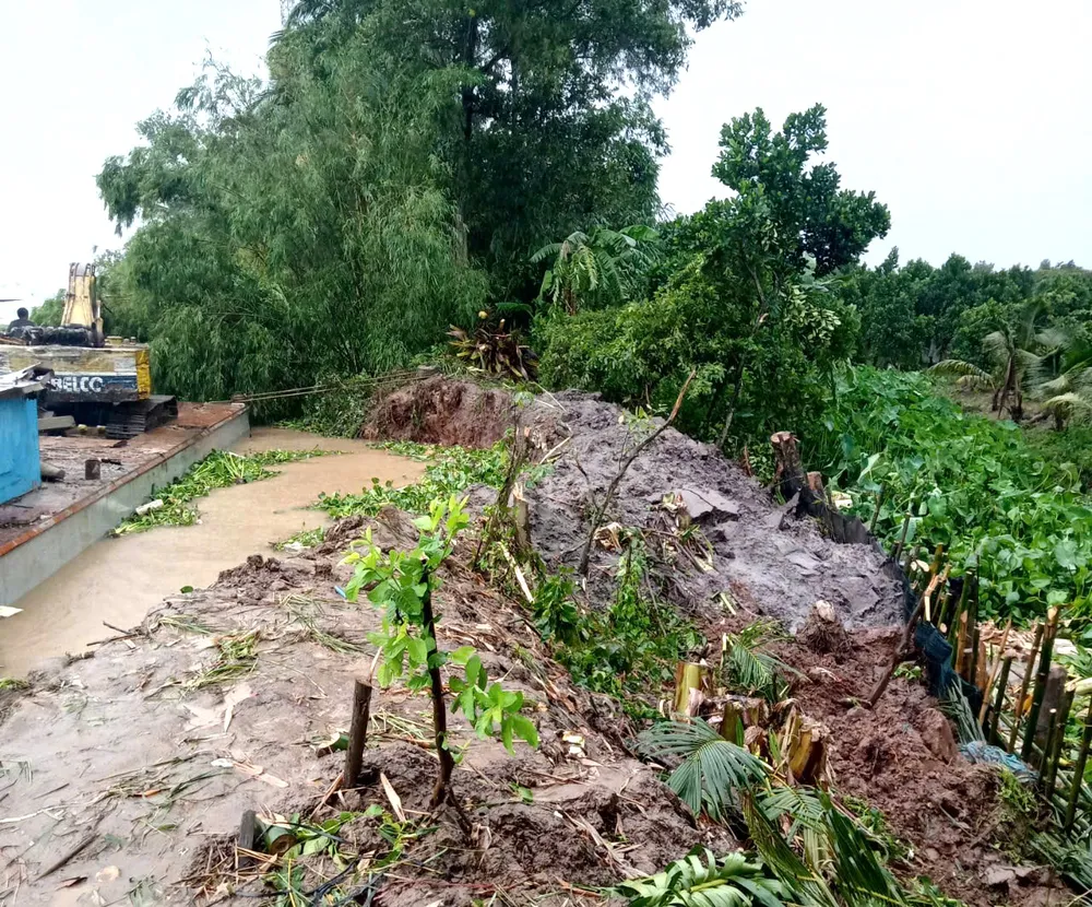 Sự cố vỡ đê bao ở Bến Tre gây ngập 15ha cây ăn trái. Trong ảnh là đoạn đê vừa gia cố xong, lại tiếp tục bị vỡ. Vo-de-gay-ngap (1).jpg