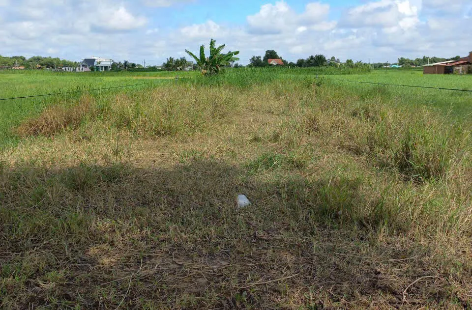 mua xong nhà đất thì bị phong tỏa