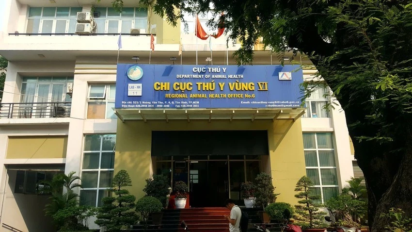 truy-to-cuu-lanh-dao-chi-cuc-thu-y-vung-vi-tiep-tay-duong-day-buon-lau-tri-gia-1-800-ti-dong-.jpeg