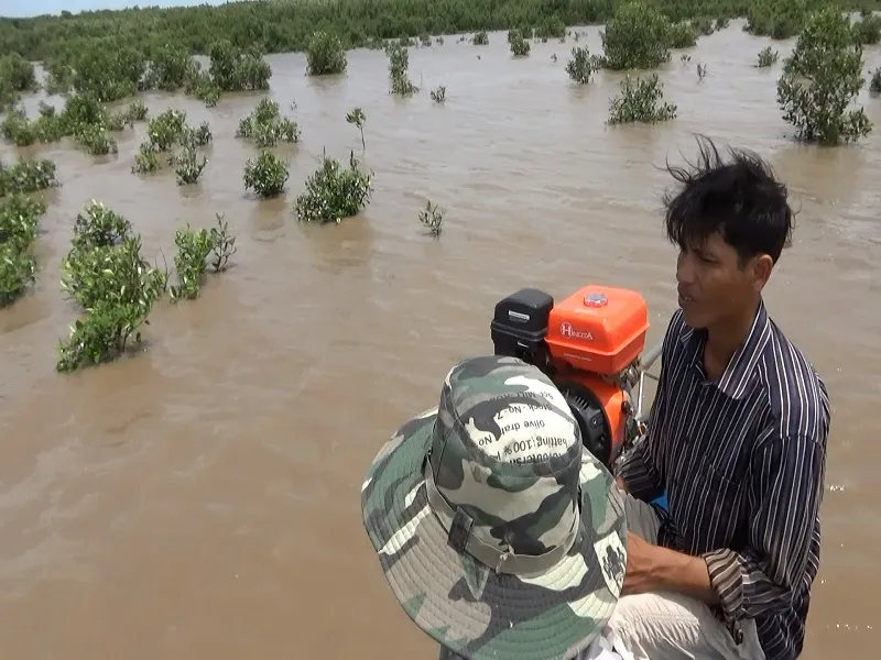 Bị phạt 15 triệu đồng vì nhổ 300 cây mắm non ở vườn quốc gia ảnh 1 Bị phạt 15 triệu đồng vì nhổ 300 cây mắm non ở vườn quốc gia ảnh 1