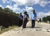 Cà Mau đề xuất chặt bớt cây xanh để giảm sụt lún đường ảnh 2 Cà Mau họp khẩn về vấn đề hạn mặn và sụt lún